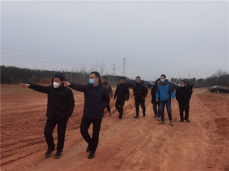 1675772162636708.jpg 曾都区林业局刘局长介绍涉林龙头企业油茶育苗基地情况.jpg