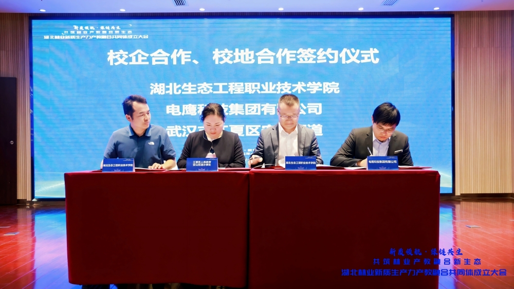签约.jpg