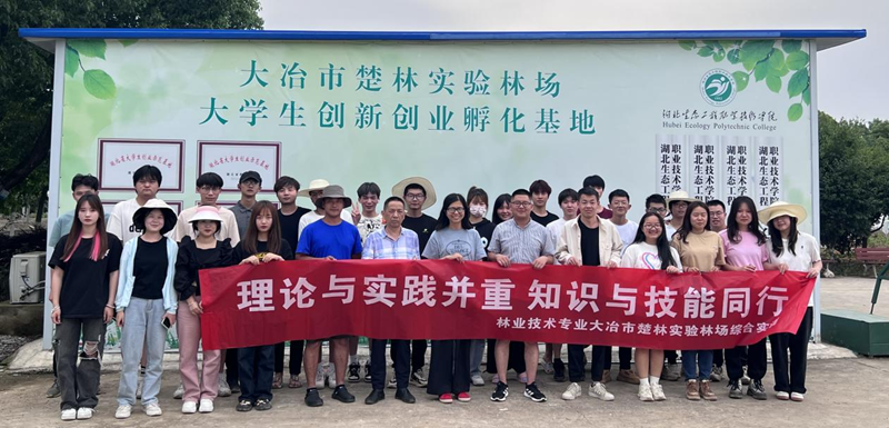 1745568165754226.png 图片2_副本.png