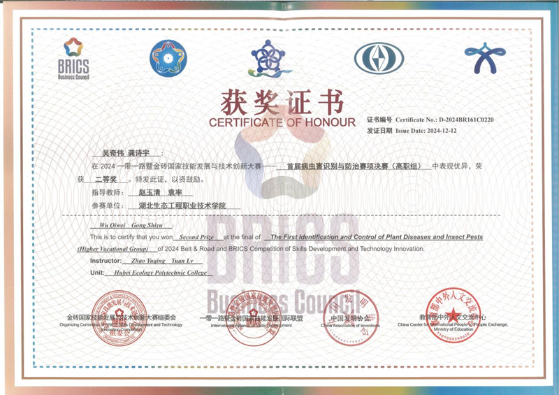 1745568432783019.png 图片9_副本.png