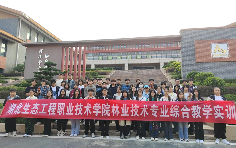 1745715594618097.png 图片1_副本.png