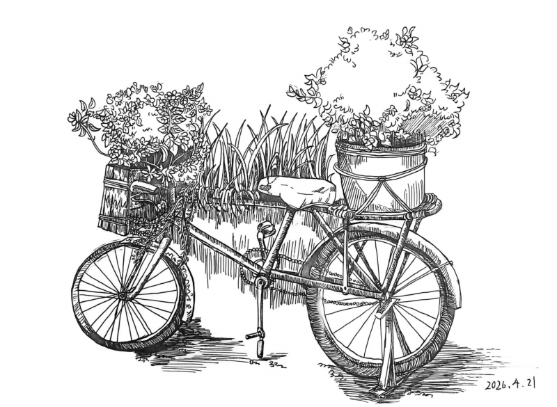 二等奖：王语滨《自行车》.jpg