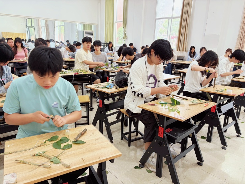 Image_1779867864724_272_副本.jpg