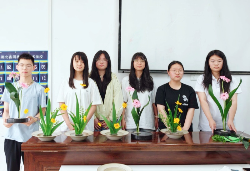 qq_pic_merged_1780033161068_副本.jpg