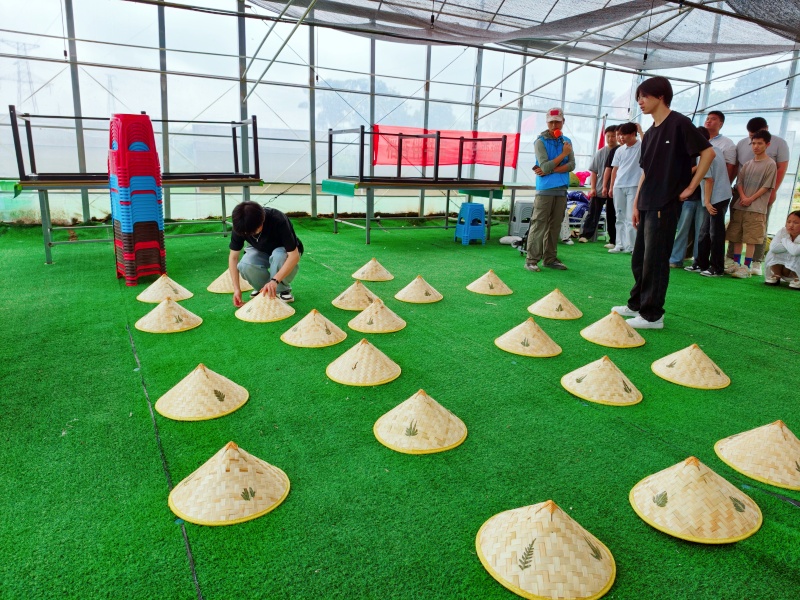 1780043073128730.jpg IMG20260527112703_副本.jpg