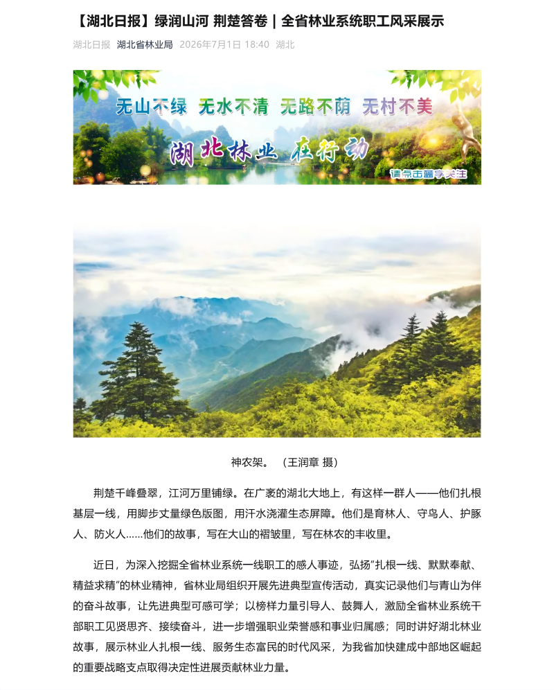 【湖北日报】绿润山河 荆楚答卷 _ 全省林业系统职工风采展示_01(1).png